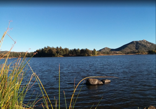 A serene lake surrounded by trees and mountains under a clear blue sky, with rocks visible in the foreground.