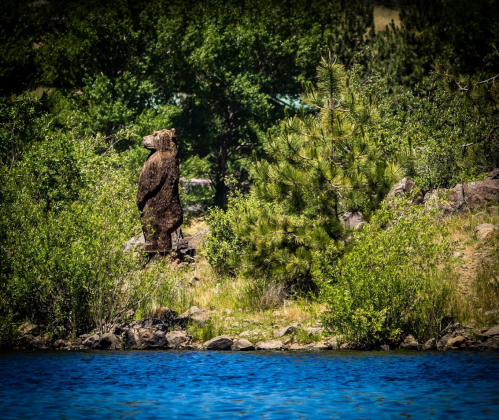 A bear statue stands near a lake, surrounded by lush greenery and trees under a clear blue sky.