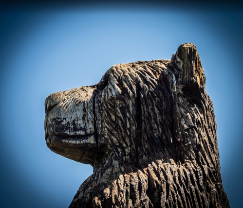 A close-up of a wooden bear sculpture against a clear blue sky.