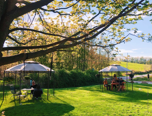 Two shaded seating areas under pavilions in a green garden, with people enjoying the outdoors on a sunny day.