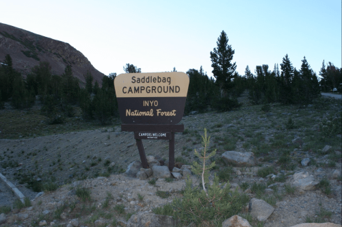 Sign for Saddlebag Campground in Inyo National Forest, surrounded by trees and rocky terrain at dusk.