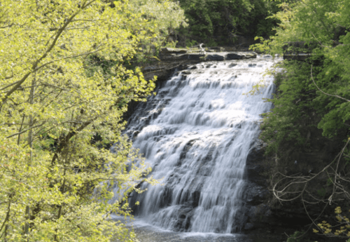 A serene waterfall cascading over rocks, surrounded by lush green trees in a peaceful natural setting.