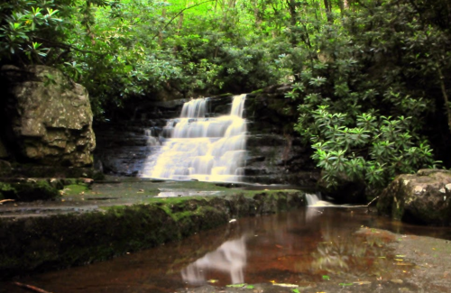 A serene waterfall cascades over rocks, surrounded by lush greenery and reflecting in a calm pool below.