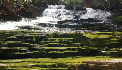 A serene waterfall cascading over moss-covered rocks in a lush, green environment.