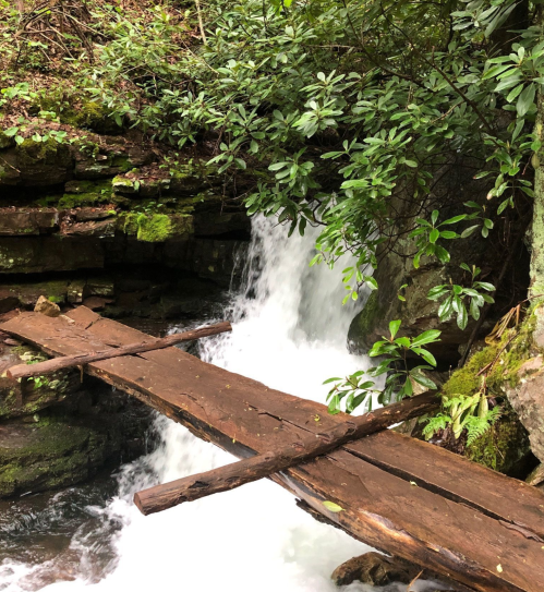 A wooden bridge crosses a rushing waterfall surrounded by lush greenery and moss-covered rocks.
