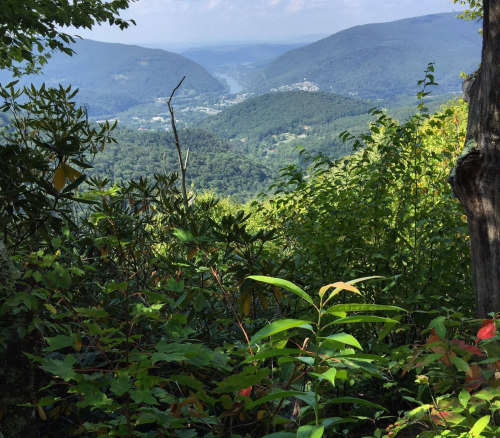 A scenic view of rolling hills and valleys under a clear blue sky, framed by lush greenery in the foreground.