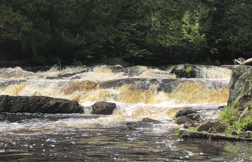 A flowing river with brownish water cascading over rocky formations, surrounded by lush green trees.