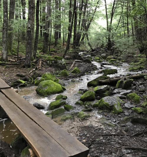 A wooden bench beside a small stream flowing through a lush, green forest with moss-covered rocks.
