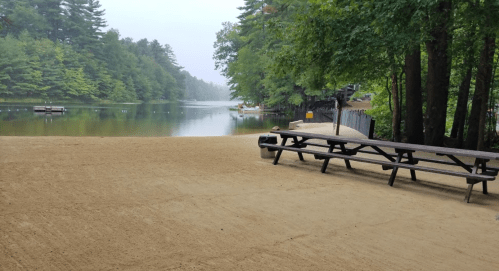 A sandy lakeside area with a picnic table, surrounded by trees and a calm water view on a misty day.