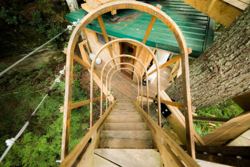 A wooden spiral staircase leading down from a treehouse, surrounded by greenery and tree trunks.
