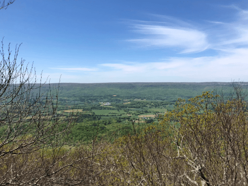 A panoramic view of lush green hills and valleys under a clear blue sky, with sparse trees in the foreground.