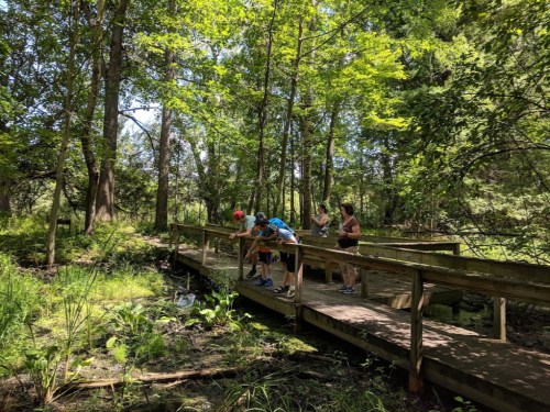 A group of people stands on a wooden bridge in a lush, green forest, observing the surroundings.