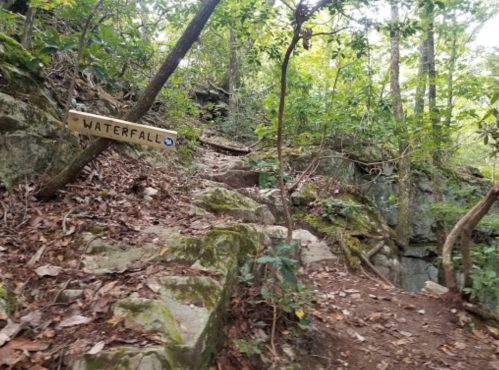 A trail sign labeled "WATERFALL" points towards a rocky path surrounded by trees and foliage.