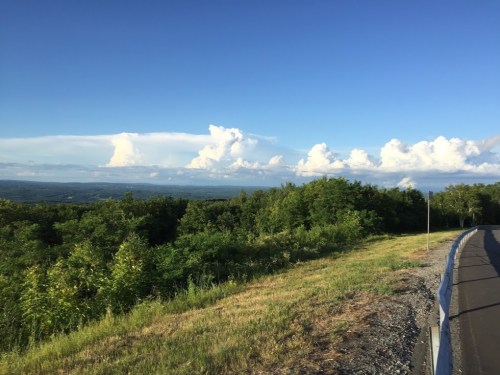 A scenic view of lush green trees and a blue sky with fluffy clouds over a distant landscape.