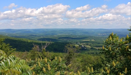 A panoramic view of lush green hills under a blue sky with fluffy clouds, dotted with trees and fields.