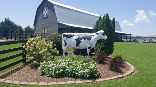 A black and white cow statue stands in a landscaped garden near a barn under a clear blue sky.