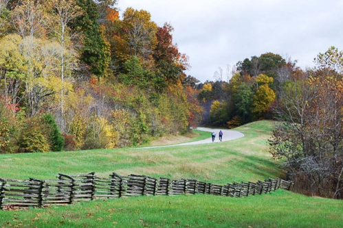 Two people walk along a winding road surrounded by colorful autumn trees and a rustic wooden fence.