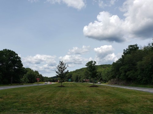 A wide view of a grassy median on a highway, with trees and a cloudy sky in the background.