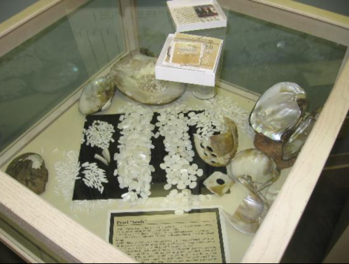 Display case featuring various pearl shell artifacts and decorative items, with an informational plaque below.