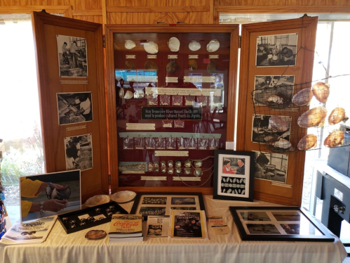 Display case featuring historical artifacts and photographs related to shell production in Japan.