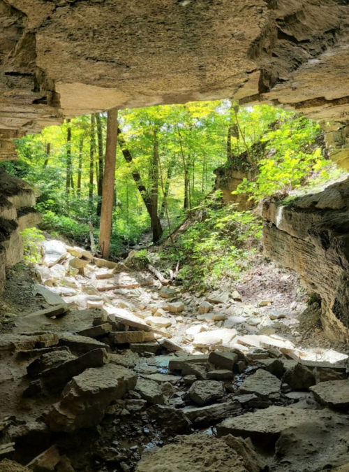 A view from inside a cave, showing sunlight filtering through trees and rocky terrain outside.