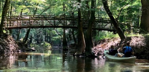 A serene scene of two people kayaking under a wooden bridge in a lush, green forest.