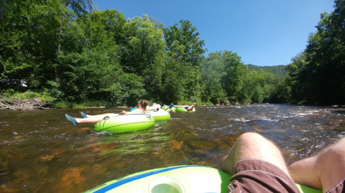 People floating on green inner tubes down a river, surrounded by lush trees and a clear blue sky.