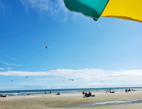 A sunny beach scene with people relaxing under umbrellas, seagulls flying, and gentle waves in the background.