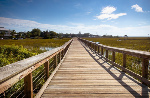 A wooden boardwalk stretches into a sunny marsh, surrounded by greenery and distant buildings under a blue sky.