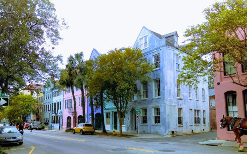 Colorful historic buildings line a street, with palm trees and parked cars in a charming urban setting.