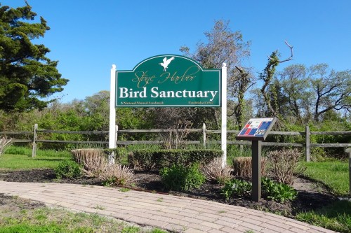 Sign for Stony Brook Bird Sanctuary, featuring greenery and a pathway, with an informational display nearby.