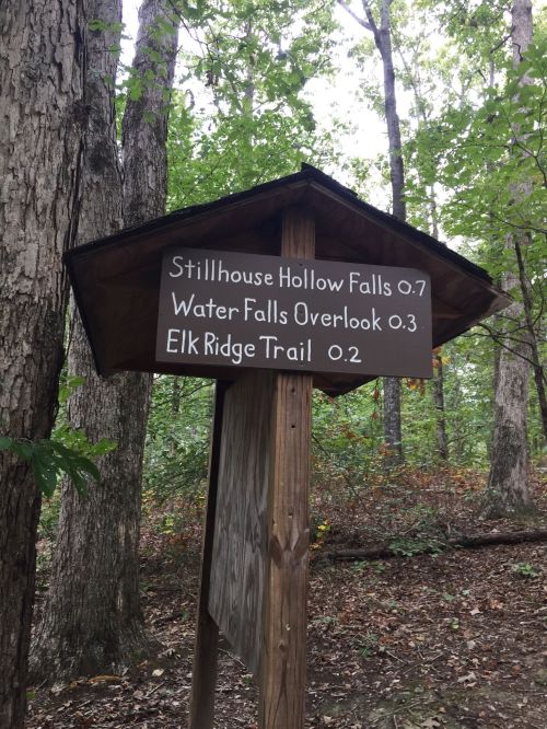 Trail sign indicating distances to Stillhouse Hollow Falls, Water Falls Overlook, and Elk Ridge Trail in a wooded area.