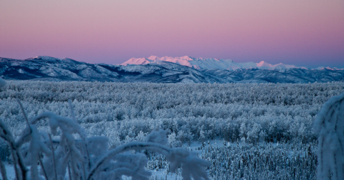 Snow-covered mountains under a pastel pink sky, with a forest of frosted trees in the foreground.