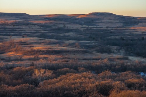 A serene landscape of rolling hills and sparse trees, bathed in warm golden light during sunset.
