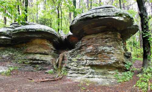 Two large, mushroom-shaped rock formations surrounded by lush greenery in a forested area.