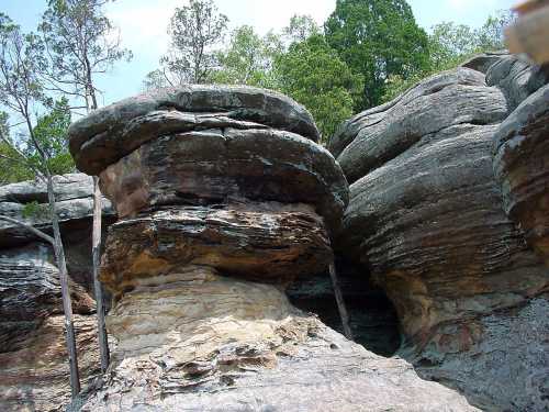 Rock formations with layered textures and trees in the background, showcasing natural geological features.