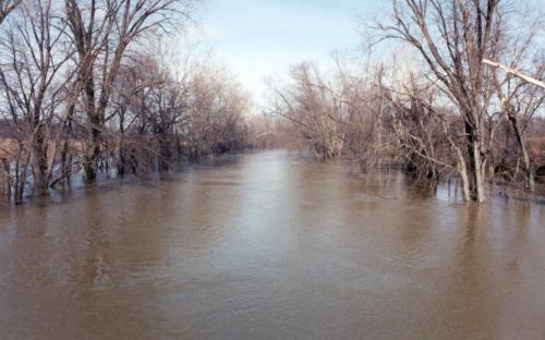 A flooded river surrounded by bare trees, with muddy water reflecting the sky on a clear day.