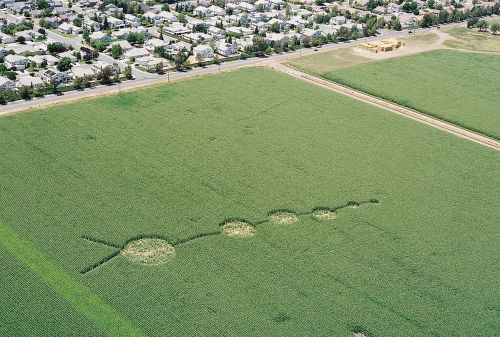 Aerial view of a green field with circular patterns, adjacent to a suburban area and a construction site in the background.