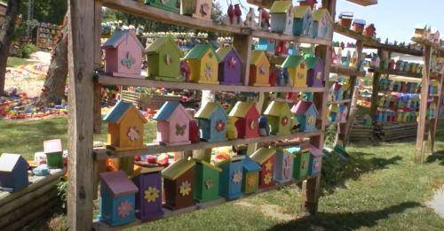 A colorful display of small birdhouses arranged on wooden shelves in a sunny outdoor setting.