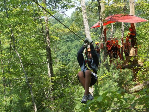 A person zip-lining through a forest, with a group of people waiting on a platform in the background.