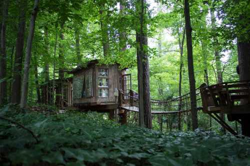 A rustic treehouse nestled among lush green trees, connected by a wooden walkway, surrounded by dense foliage.