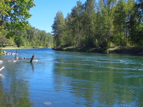 A serene river flows through a lush green landscape, surrounded by trees under a clear blue sky.