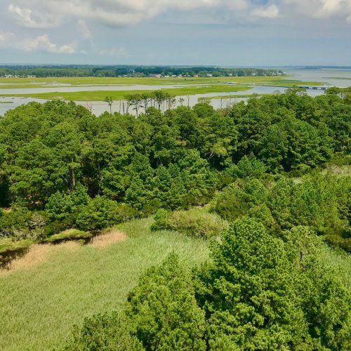 A lush green landscape with trees and marshland, overlooking a calm waterway under a partly cloudy sky.