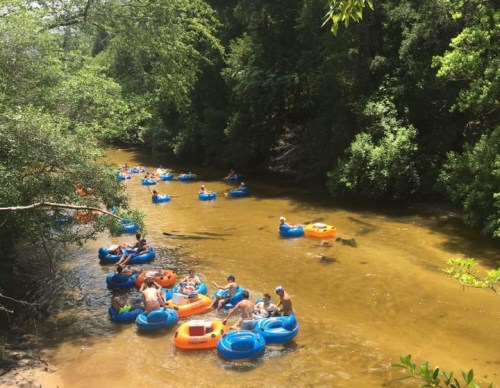 People floating on colorful inner tubes in a calm river surrounded by lush greenery.