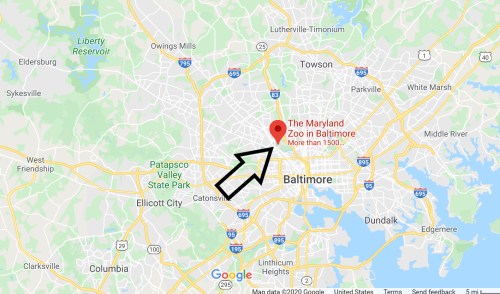 Map showing the location of The Maryland Zoo in Baltimore, marked with an arrow and nearby landmarks.