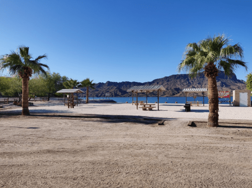 A sandy beach with palm trees, picnic tables, and a view of mountains and water under a clear blue sky.