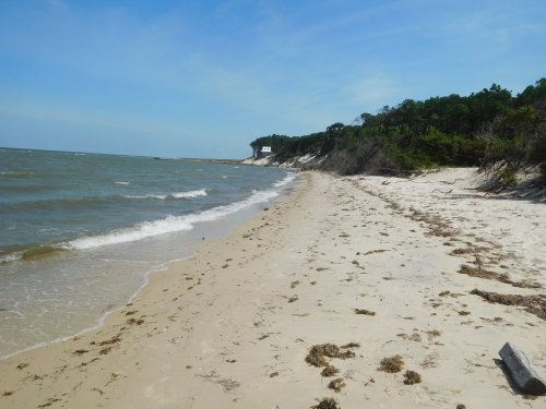 A sandy beach with gentle waves, bordered by green trees and a distant white building on a sunny day.