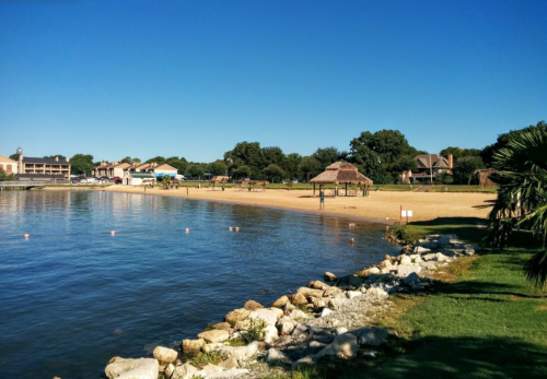 A serene lakeside view with a sandy beach, palm trees, and a clear blue sky.