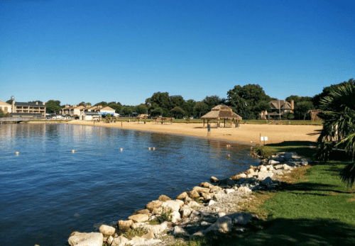 A serene lakeside view with a sandy beach, palm trees, and a clear blue sky.