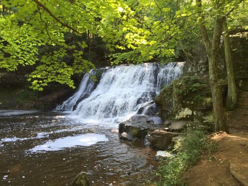A serene waterfall cascades over rocks, surrounded by lush green trees and a calm river.